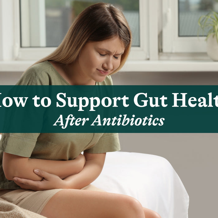 How to Support Gut Health After Antibiotics