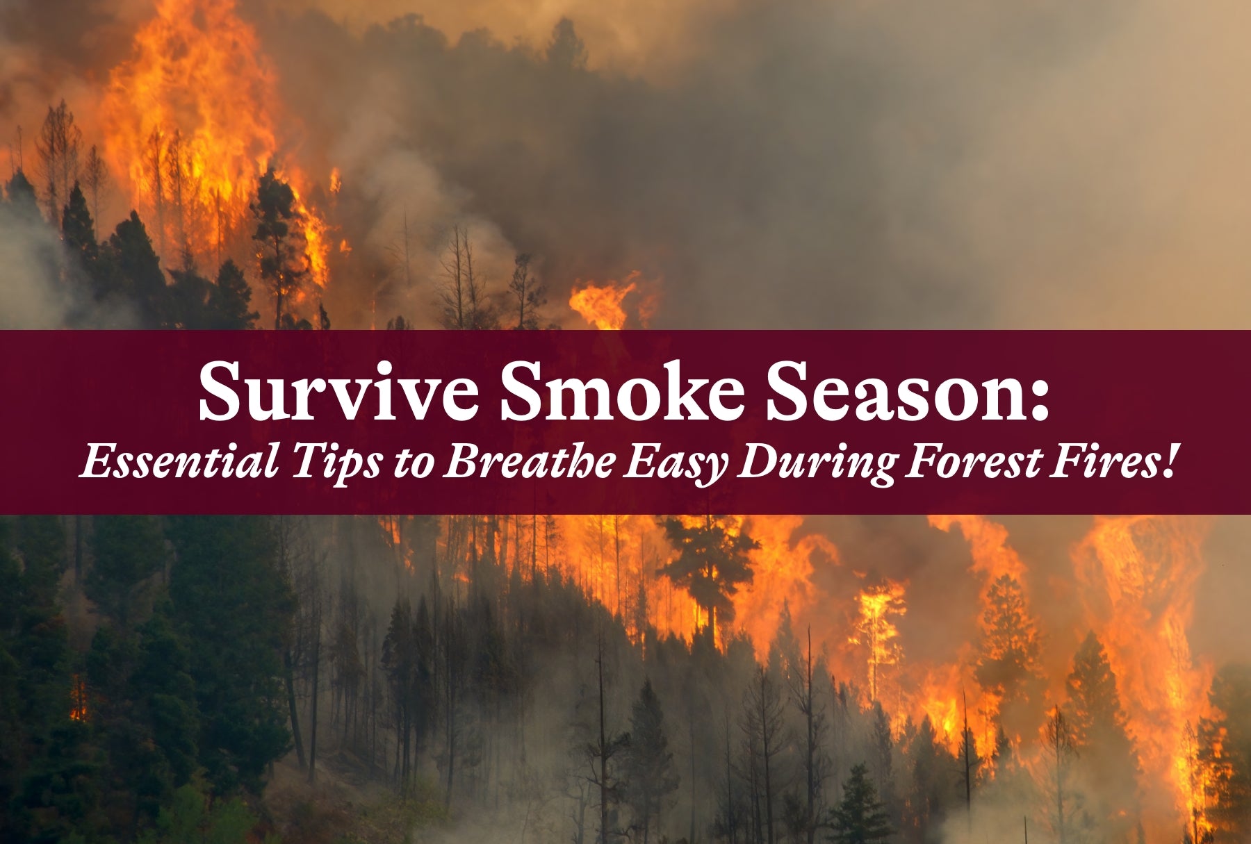 Survive Smoke Season: Essential Tips to Breathe Easy During Forest Fires!