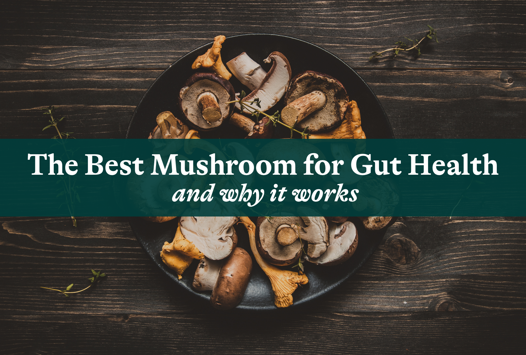 The Best Mushroom for Gut Health and Why It Works