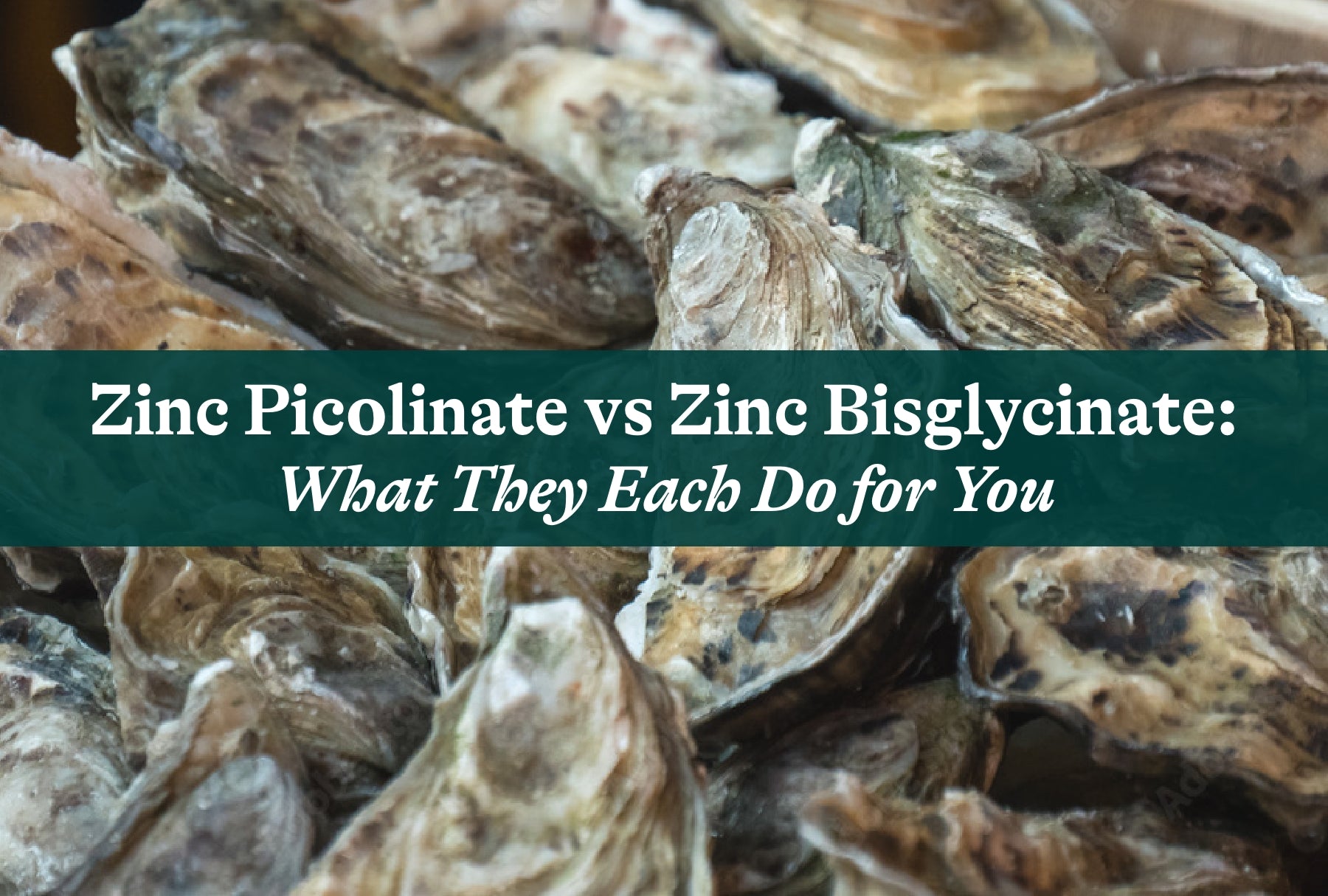 Zinc Bisglycinate vs Zinc Picolinate: Which Is Better?