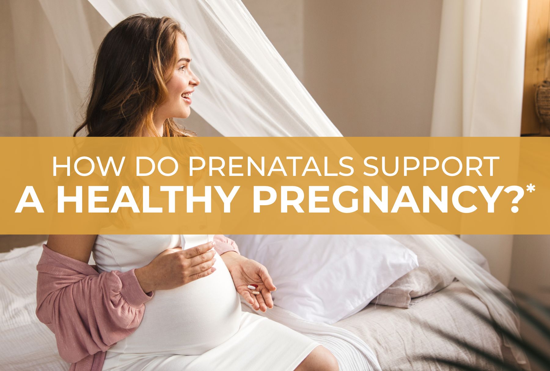 How Do Prenatals Support a Healthy Pregnancy?†