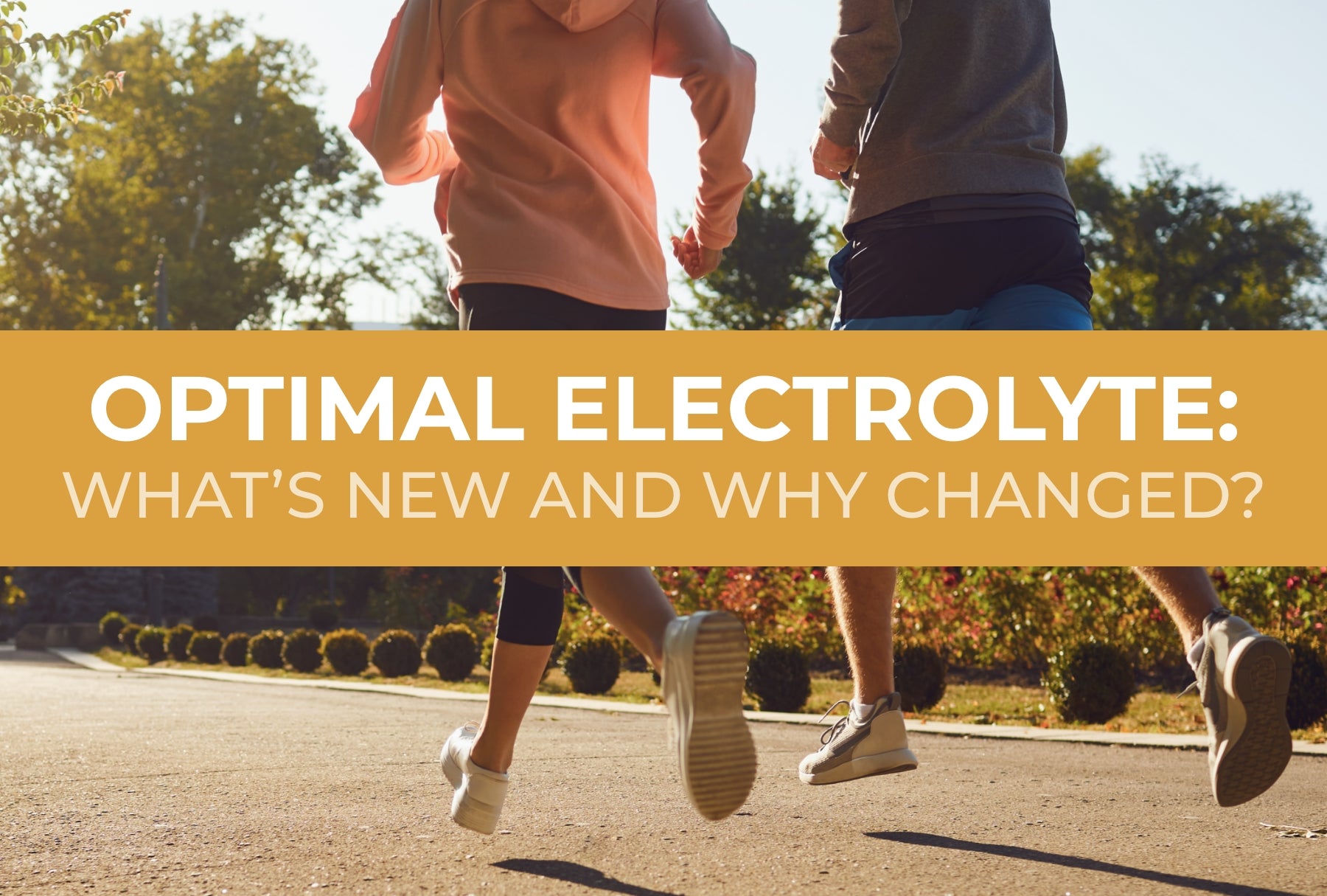 Optimal Electrolyte: What’s New and Why Changed?