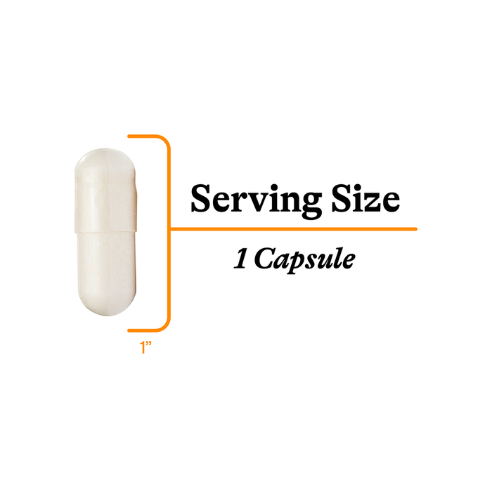 Acetyl-L-Carnitine