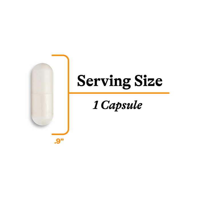 Acetyl-L-Carnitine