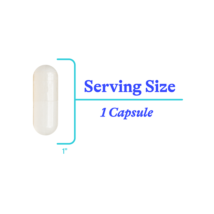 NAC (N-Acetyl-L-Cysteine) - BOGO