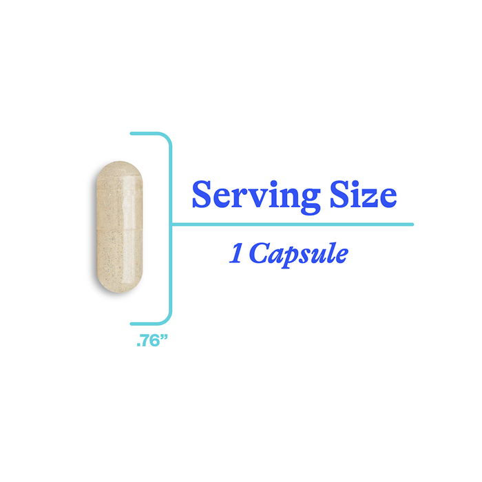 Phosphatidyl Serine