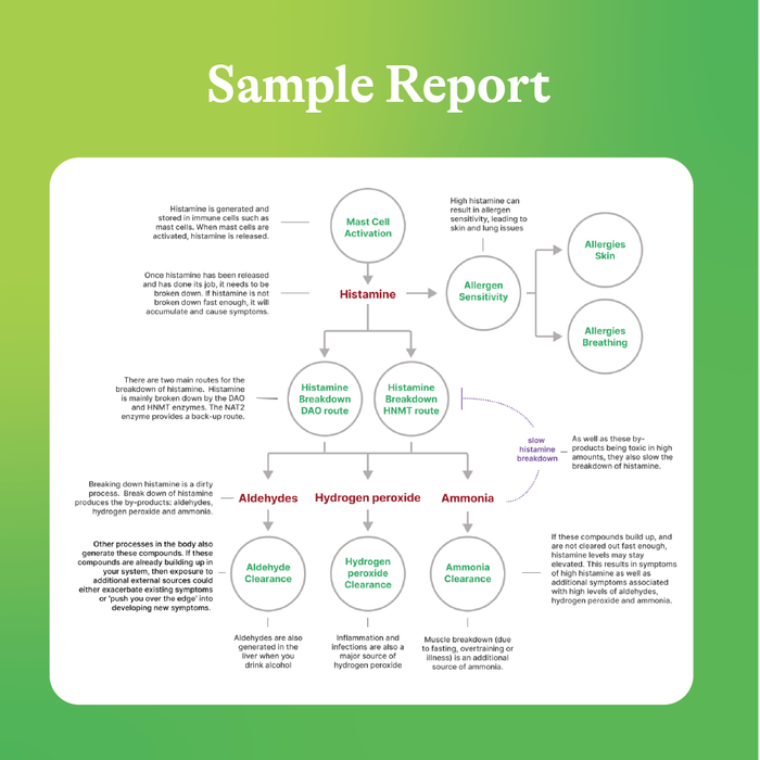 Histamine Report